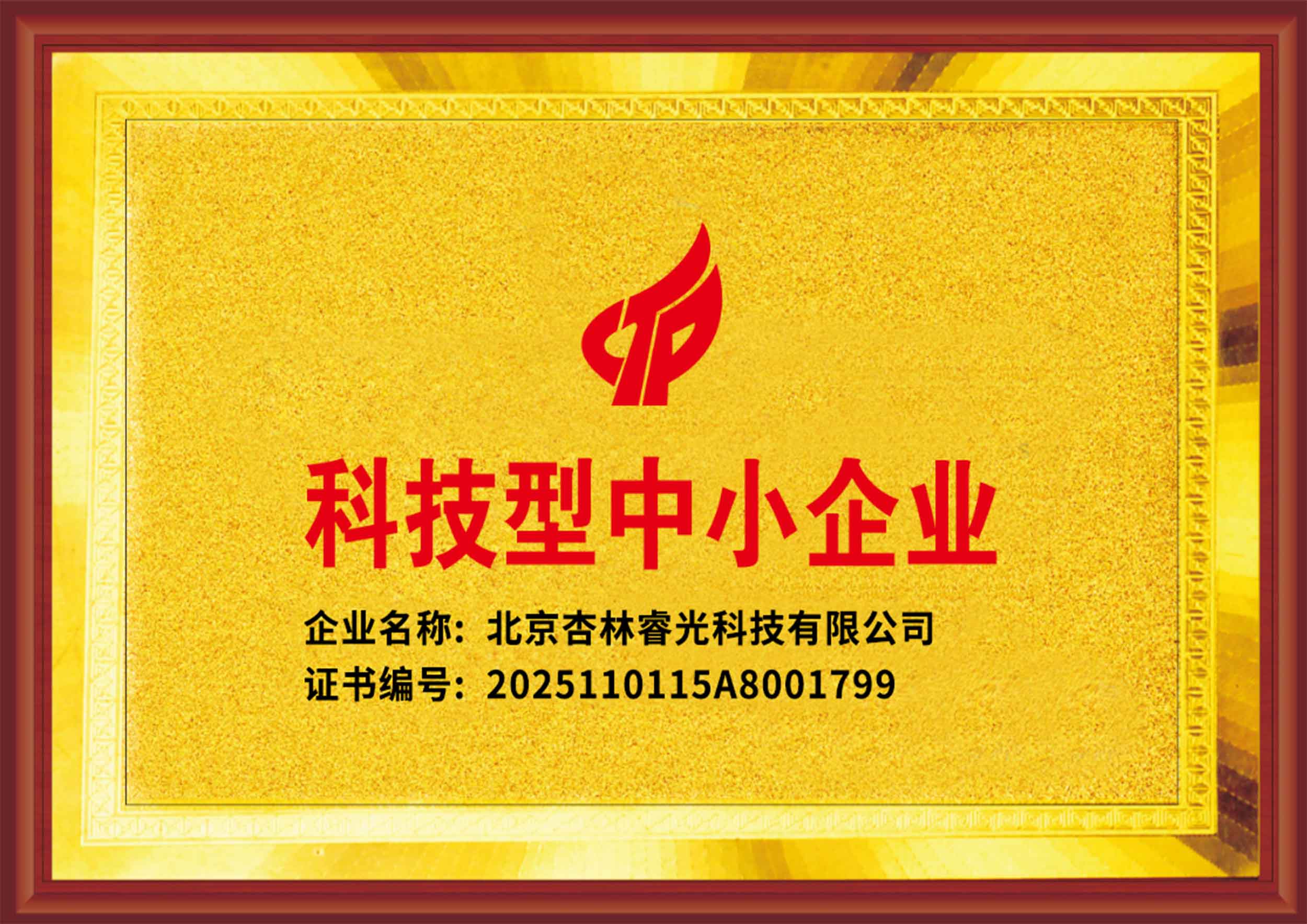 科技型中小企业